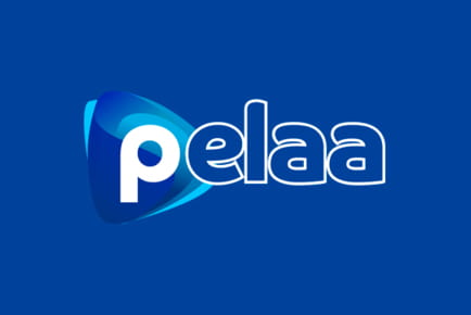 Pelaa Casino Online