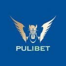 PuliBet Casino Online