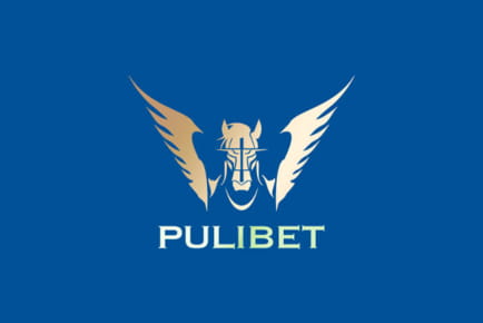 PuliBet Casino Online