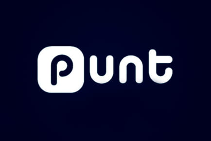 Punt Casino Casino Online