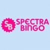 Spectra Bingo Casino Online