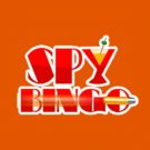 Spy Bingo Casino Online