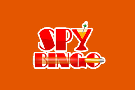 Spy Bingo Casino Online