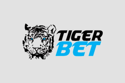 Tiger Bet Casino Online