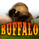 Bingo Buffalo Bingo — Juega 100% gratis en modo demo