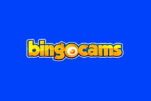 Casino Online Bingo Cams