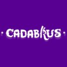 Cadarbus.com Casino Online