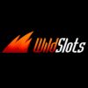 Wildslots.com Casino Online