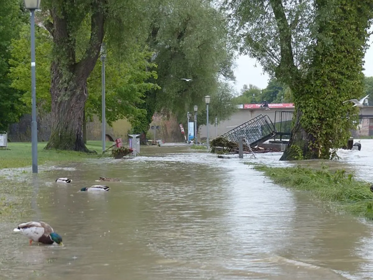 calle inundada