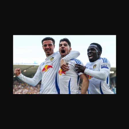 Predicción y pronóstico del partido Leeds United vs Everton en la Premier League: triunfo local con cuota 2.38