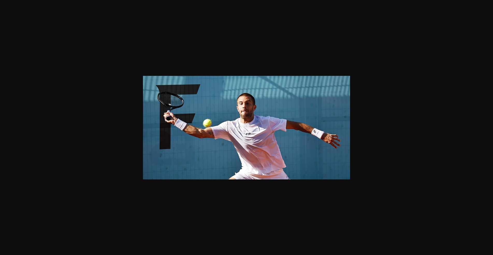 Борна Чорич — Дарвин Бланч. Прогноз на матч ATP Уинстон-Сейлем