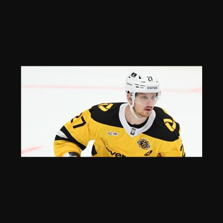 Predicción: Victoria de Severstal sobre Neftekhimik en el partido del 22 de agosto