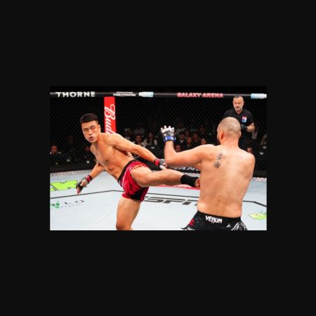 Predicción UFC: Johnny Walker vs. Minyan Zhang – Victoria de Zhang en el Primer Round