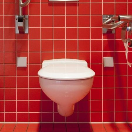 El truco casero que arrasa: cubitos de hielo para mantener tu inodoro limpio y sin olores