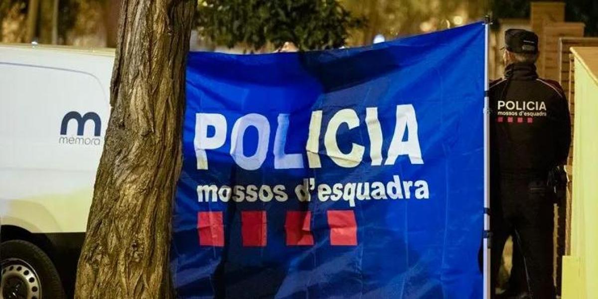 67a22df67635d.r d.380 355 0