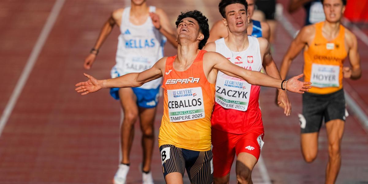 689528f25926b.r d.1695 1912 3529