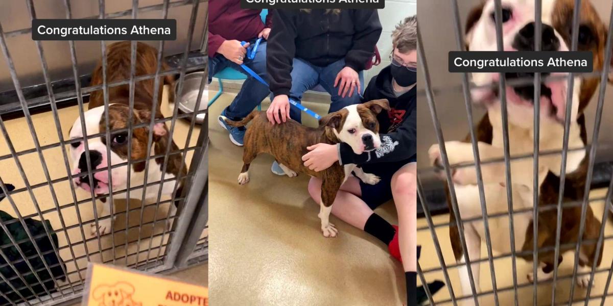 689663178b9d6.r d.337 510 0