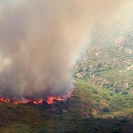 Desalojan a 80 personas de un camping por el incendio en la sierra Morena sevillana