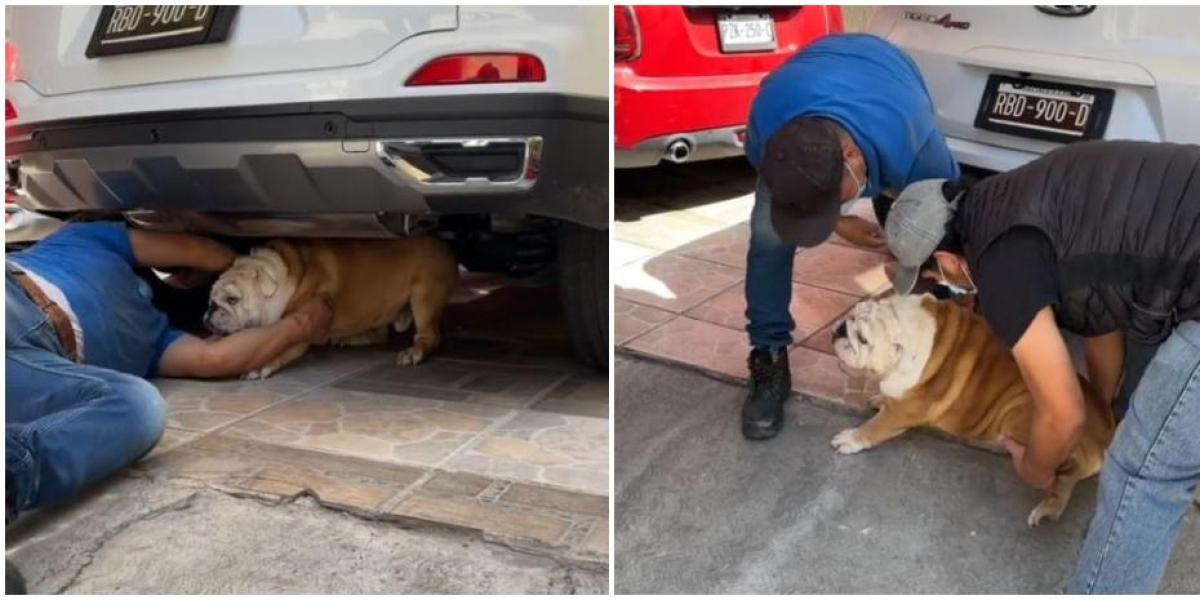 689b83b28686a.r d.153 245 0