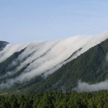 El alisio, fiel guardián del clima de Canarias, modera la subida de temperaturas