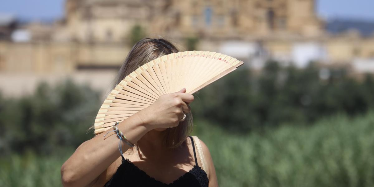 68a2cc0e1a8b6.r d.2778 3359 2213