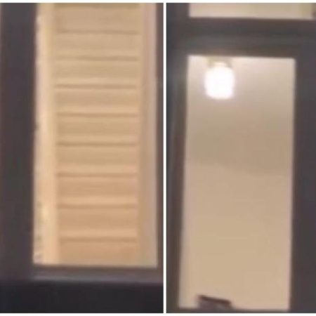 El Bulldog inglés discapacitado que ha enamorado a las redes por como sus dueños lo cuidan