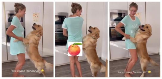 Golden Retriever bailando sevillanas con Alba Carrillo