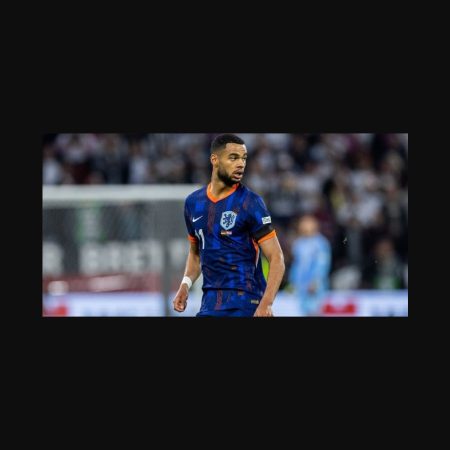 Predicción Holanda vs Polonia 2025: Holanda favorito en la clasificación mundial con apuesta clara