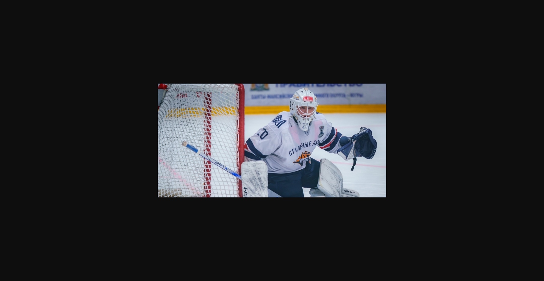 «Стальные Лисы» – «Чайка»: дадут ли «автозаводцы» бой сопернику?