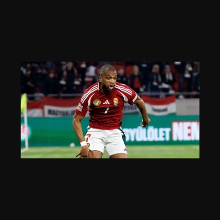 Predicción Irlanda vs Hungría: Irlanda ganará el partido y se hará con los 3 puntos – predicción Mundial 2025