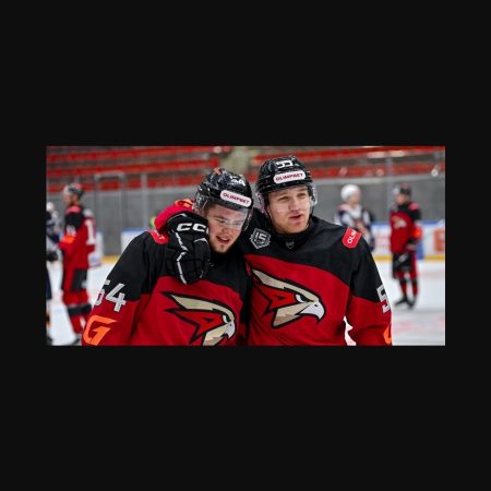 Predicción hockey VHL 2025: Омские Крылья vs Нефтяник Алметьевск, pronóstico y resultado esperado