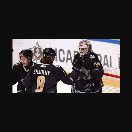 Predicción del partido entre Dinamo Karelia y Typhoon: victoria esperada para Typhoon