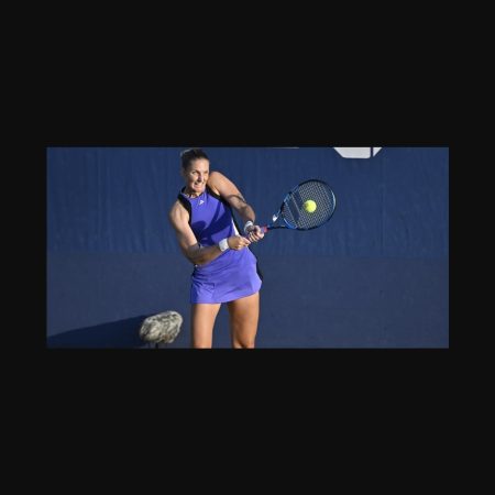 Predicción: Andrianjafitrimo vence a Plíšková en Caldas da Rainha 2025 – pronóstico y cuotas