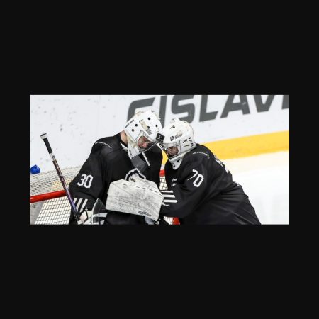 Predicción: Victoria de los “Osos Blancos” ante el Dinamo de Moscú