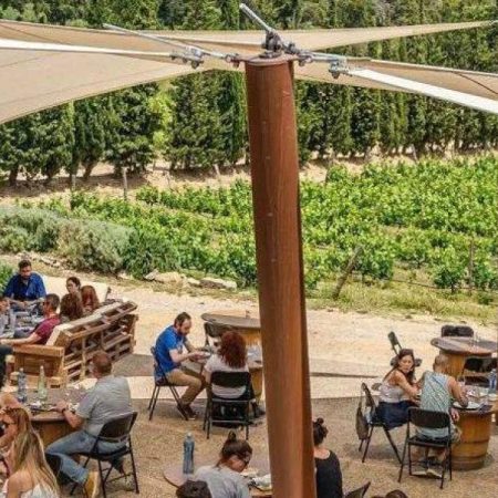 Visita esta bodega familiar de Cantallops y vive una experiencia de enoturismo inolvidable