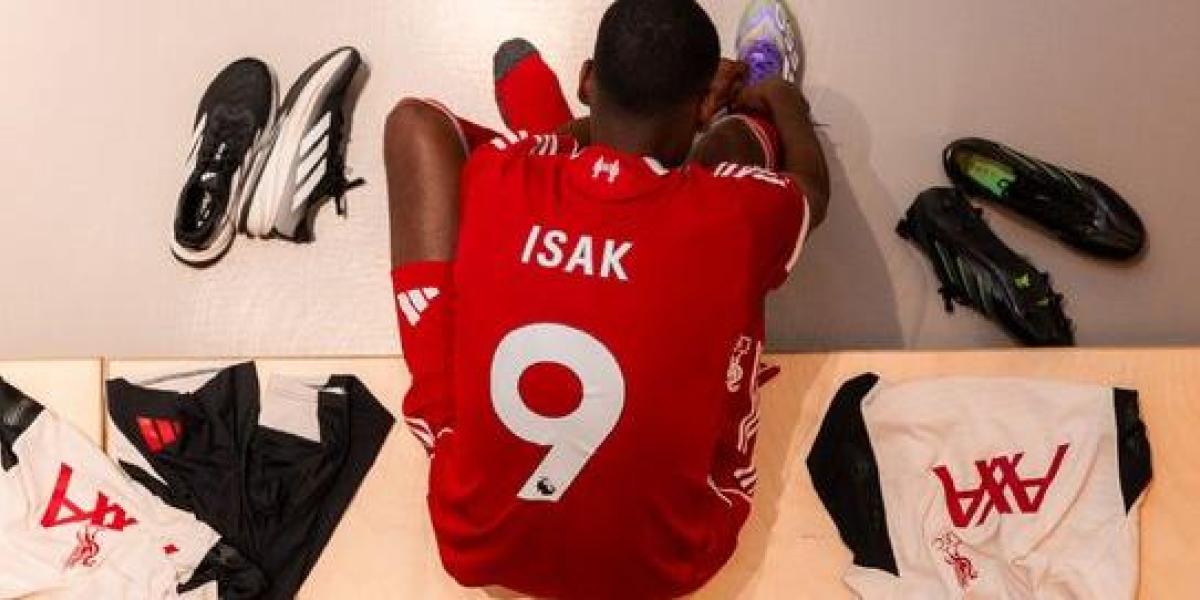 68b62288d6559.r d.436 358 22059