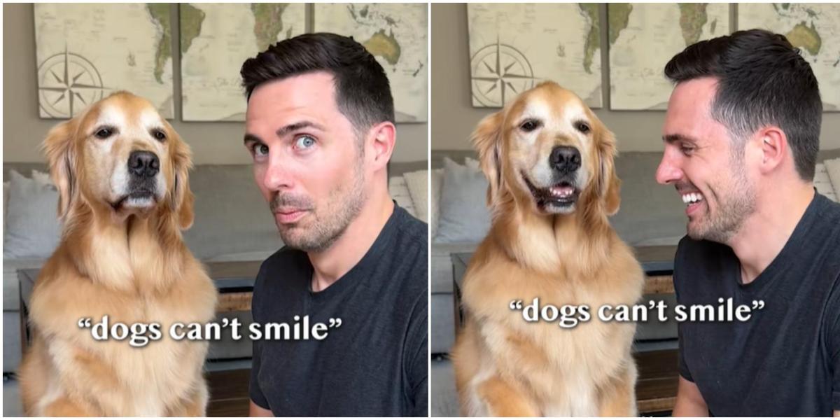 68bd330768f2a.r d.303 485 0