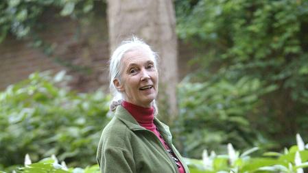 Jane Goodall