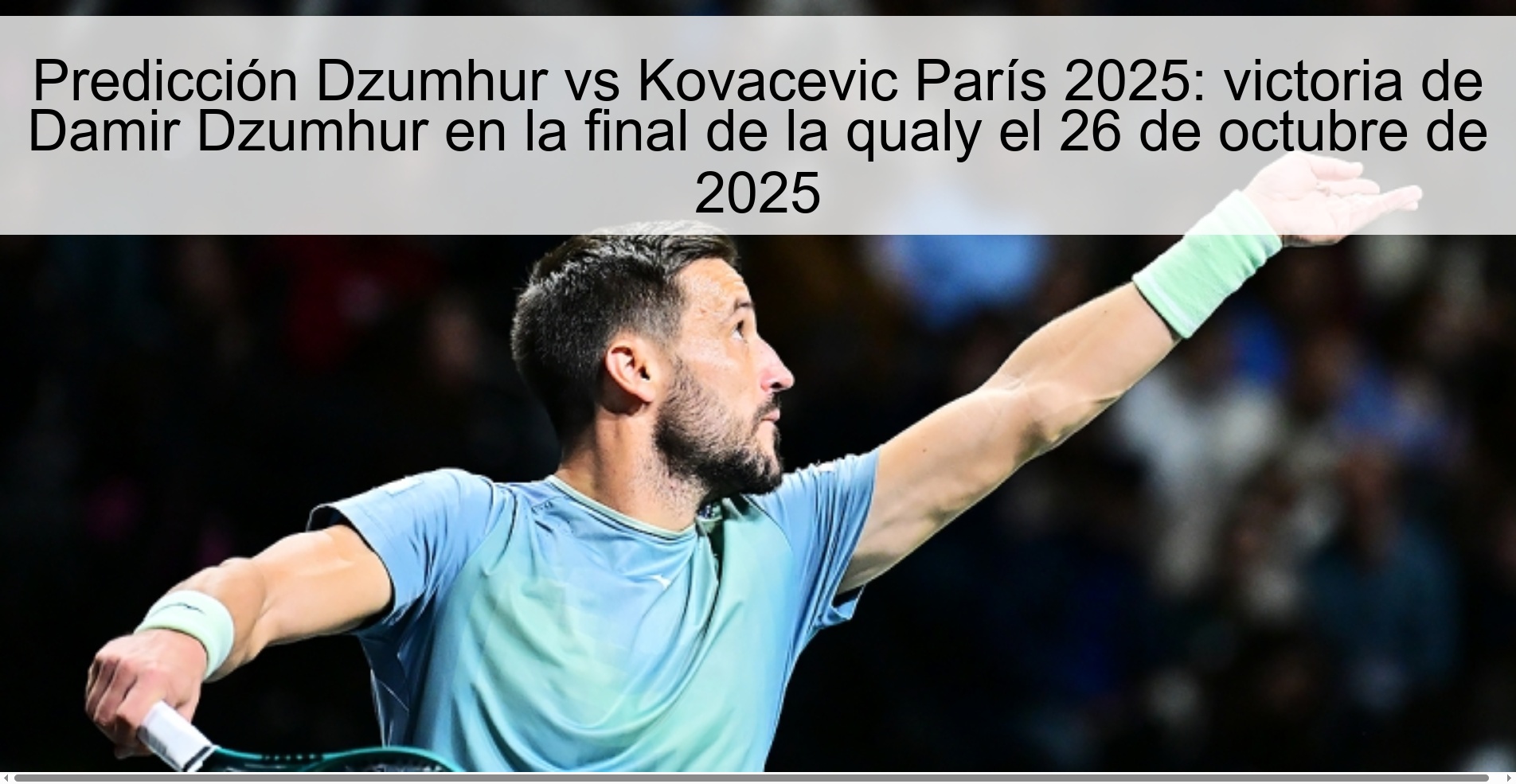 Predicción Dzumhur vs Kovacevic París 2025: victoria de Damir Dzumhur en la final de la qualy el 26 de octubre de 2025 1 316825