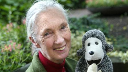 Jane Goodall