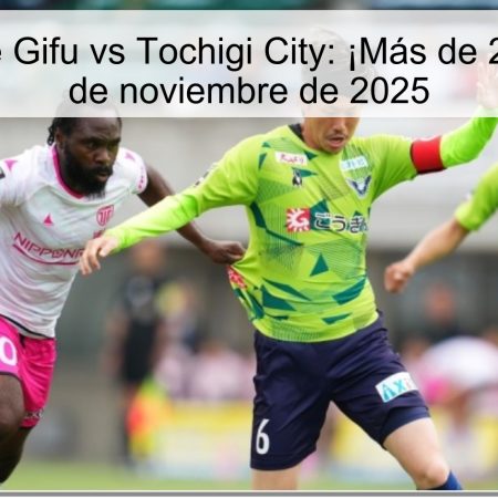 Pronóstico de Gifu vs Tochigi City: ¡Más de 2.5 goles! – 15 de noviembre de 2025