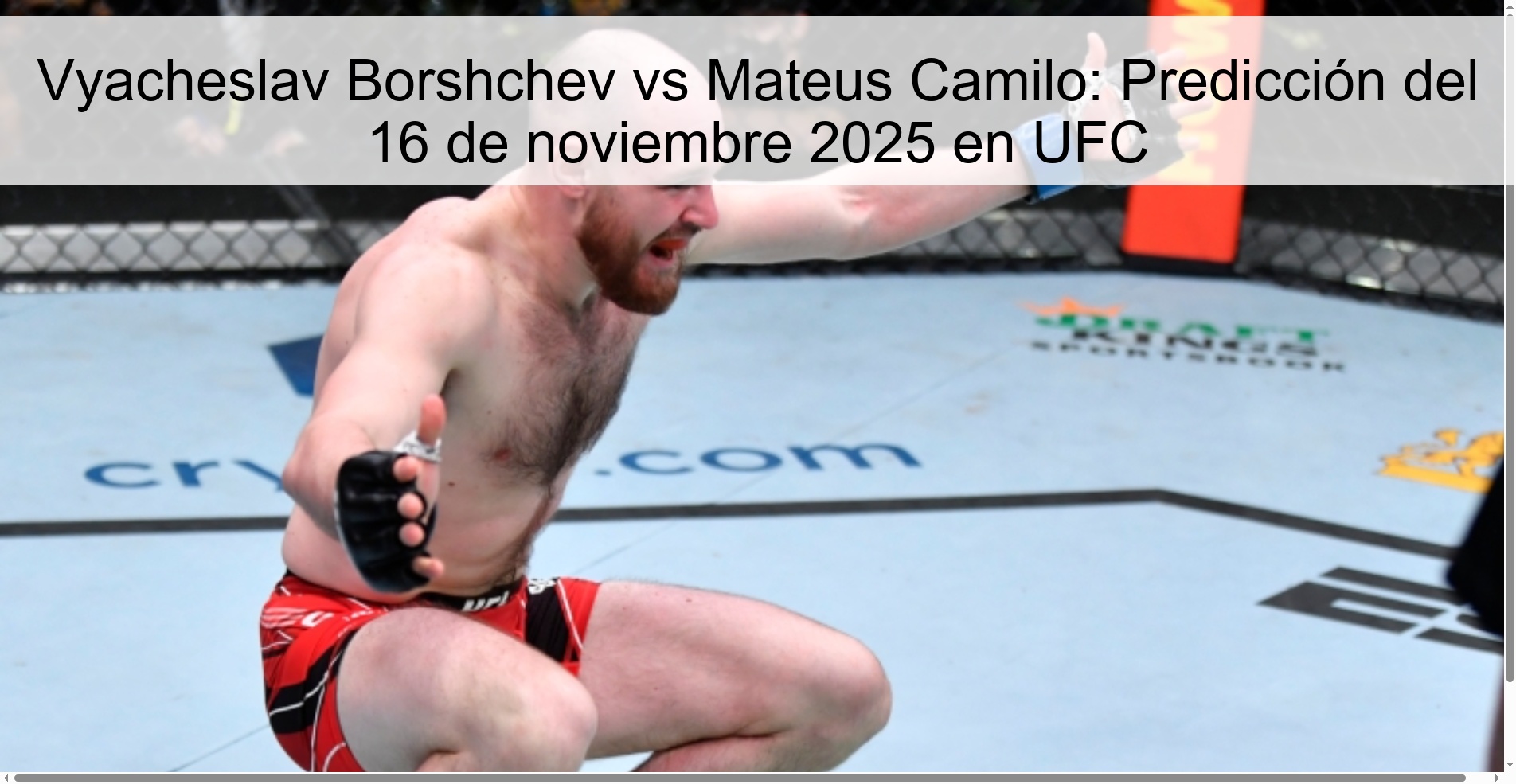 Vyaсheslav Borshchev vs Mateus Camilo: Predicción del 16 de noviembre 2025 en UFC 1 323817 2