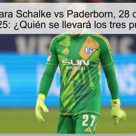 Pronóstico para Schalke vs Paderborn, 28 de noviembre de 2025: ¿Quién se llevará los tres puntos?