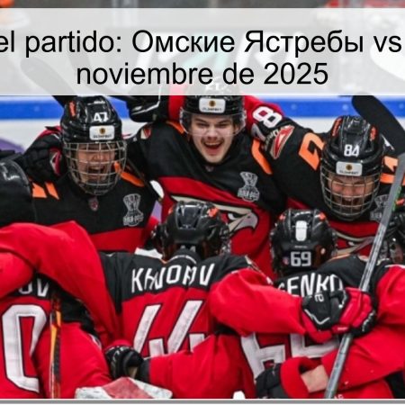 Pronóstico del partido: Омские Ястребы vs Локо – 29 de noviembre de 2025