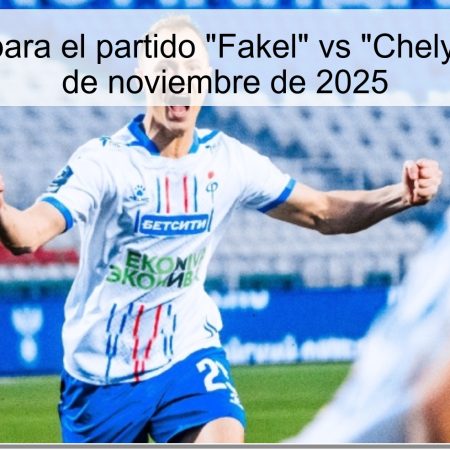 Pronóstico para el partido “Fakel” vs “Chelyabinsk” – 23 de noviembre de 2025