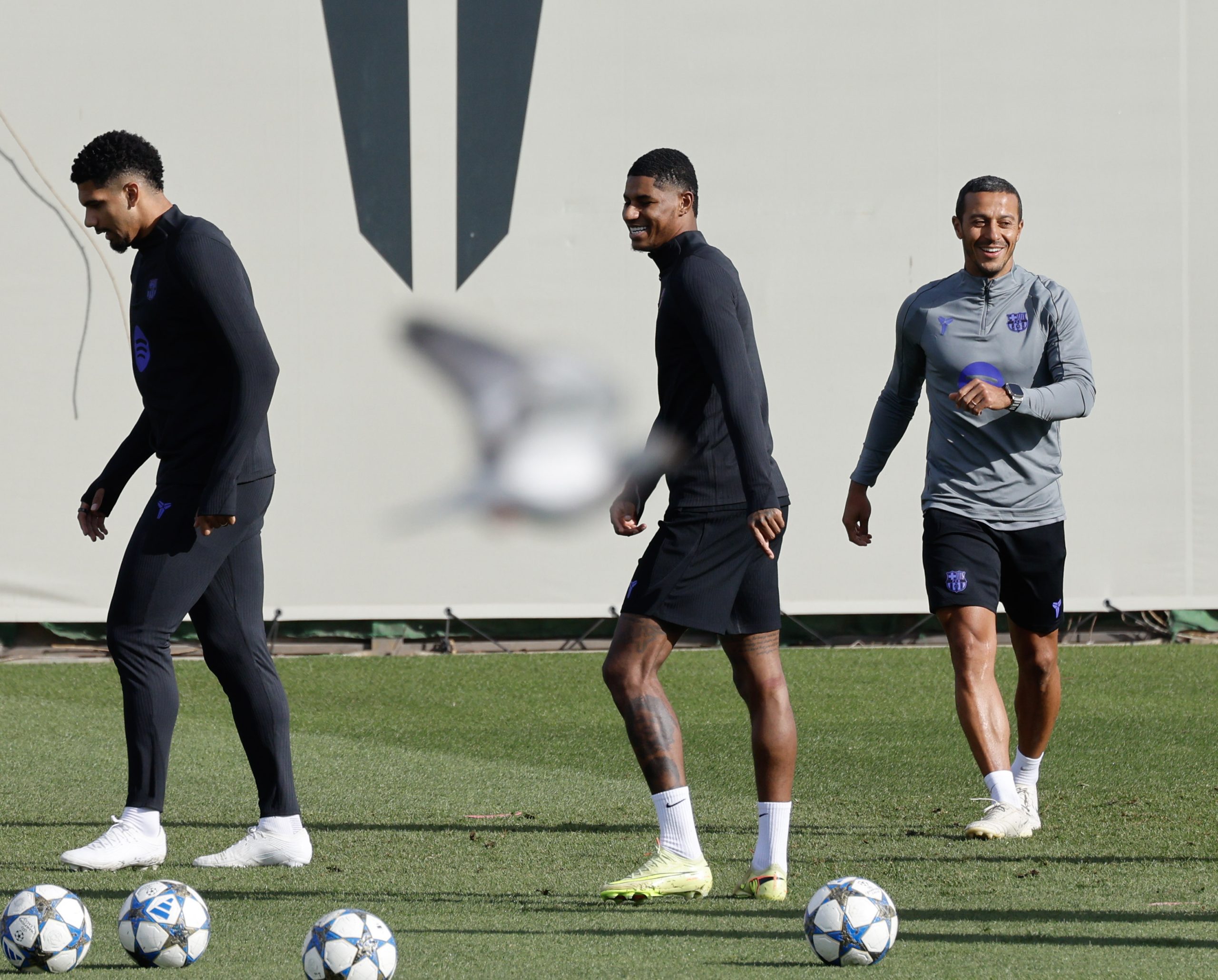 6924e3524cadc scaled