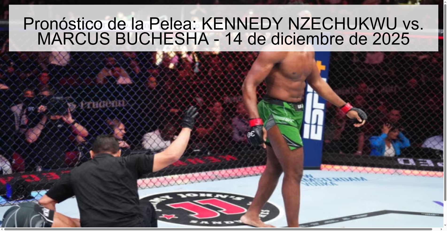 Pronóstico de la Pelea: KENNEDY NZECHUKWU vs. MARCUS BUCHESHA - 14 de diciembre de 2025