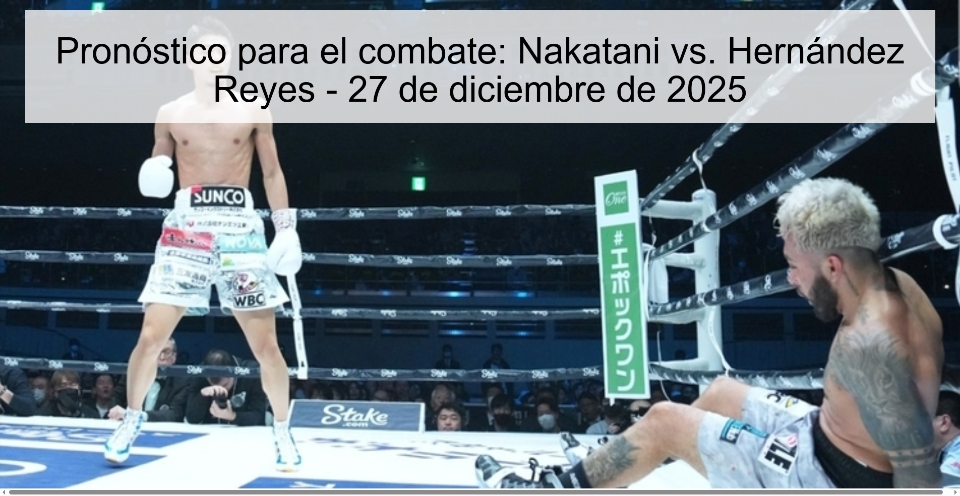 Pronóstico para el combate: Nakatani vs. Hernández Reyes – 27 de diciembre de 2025