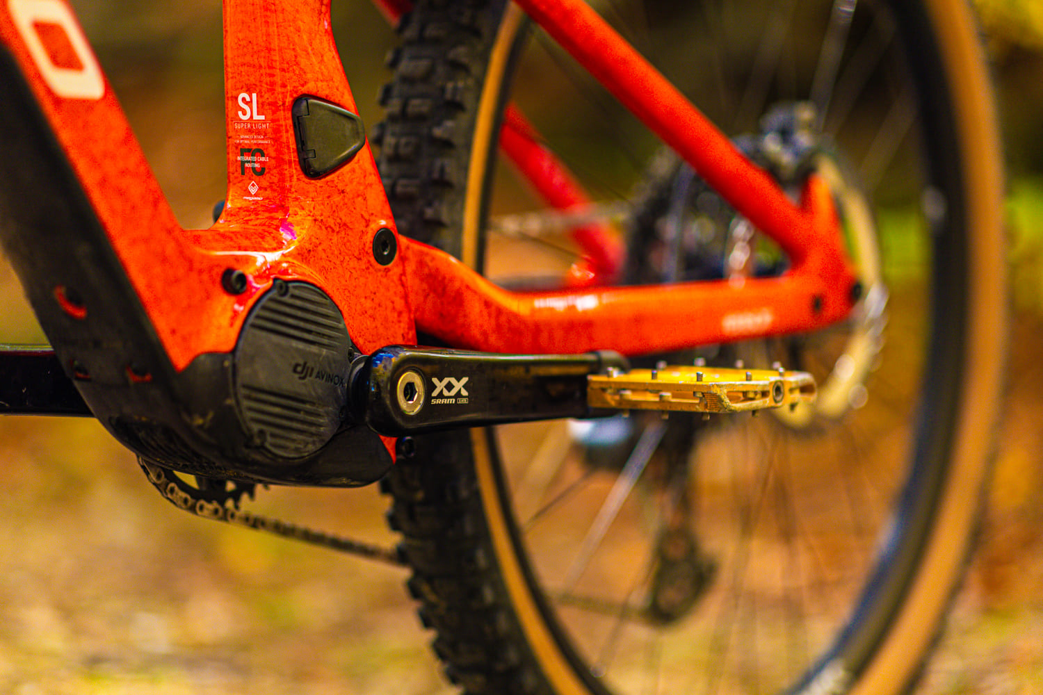 10 Consejos Esenciales para Prolongar la Vida de tu Ebike y Mantenerla en Perfectas Condiciones