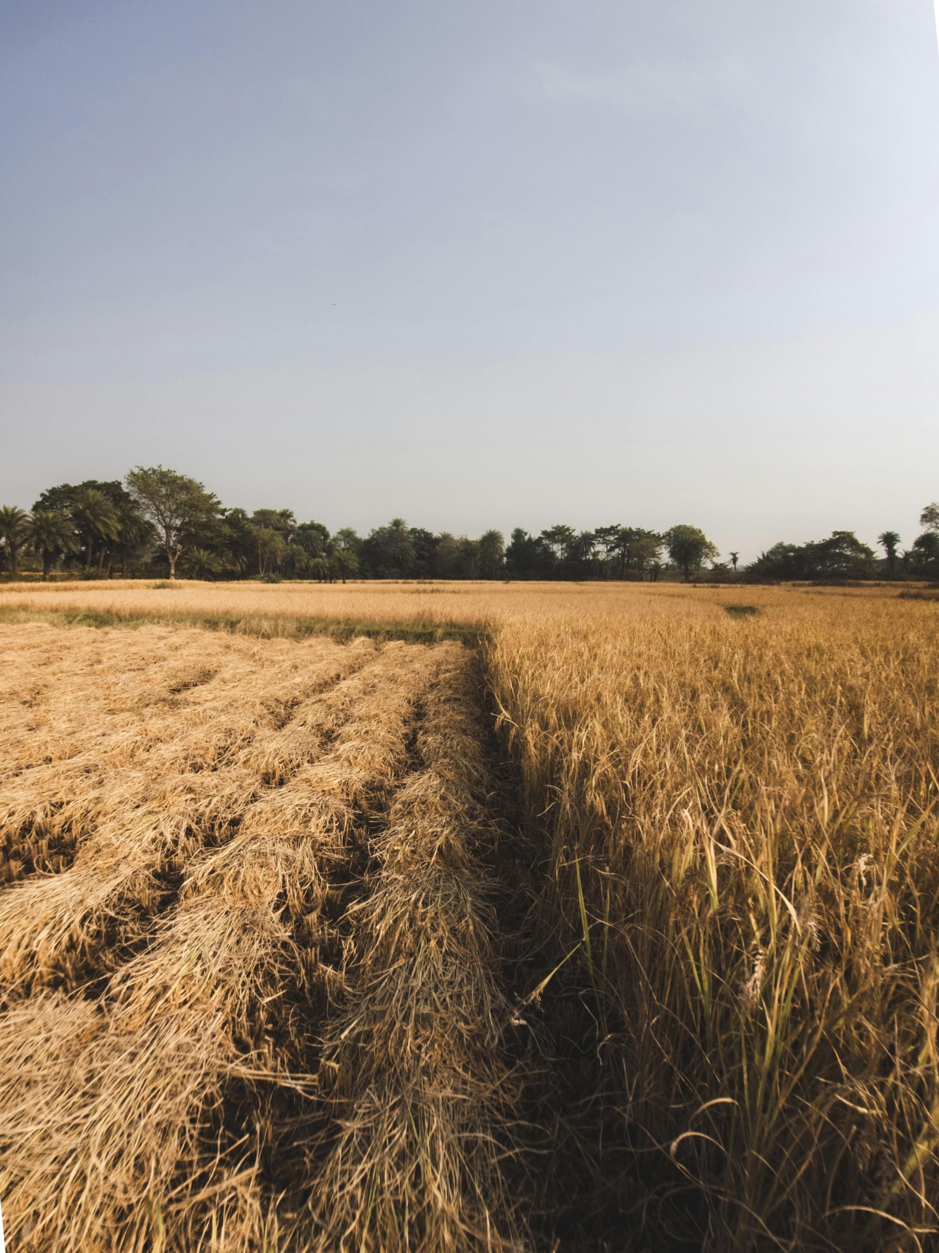 Descubre cómo Nerea, una joven española, gana 2.149 euros en Australia tras emigrar en busca de nuevas oportunidades